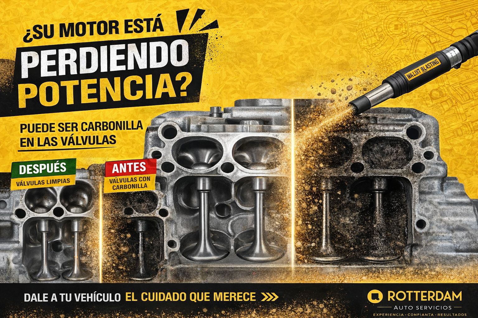 Servicio Walnut Blasting Rotterdam